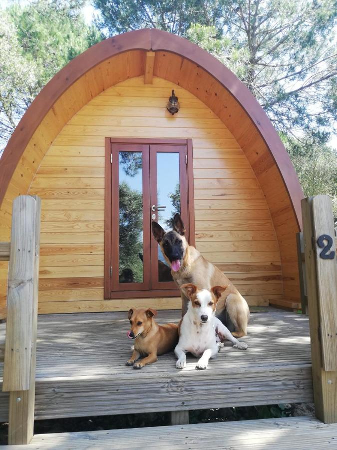 Glamping Sintra Hotel Buitenkant foto